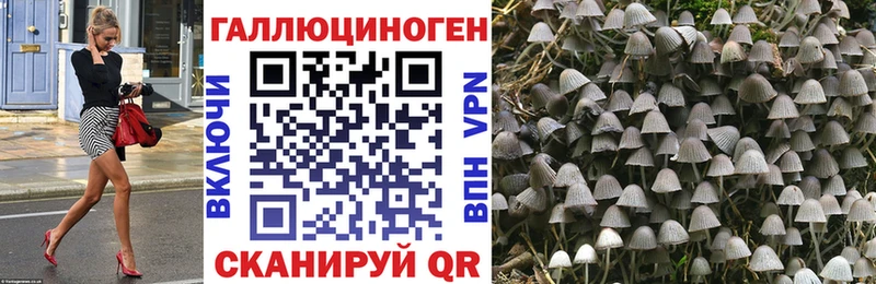 Галлюциногенные грибы мицелий Теберда