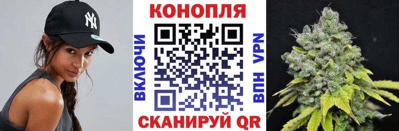Бошки Шишки марихуана  купить наркотики цена  Теберда 